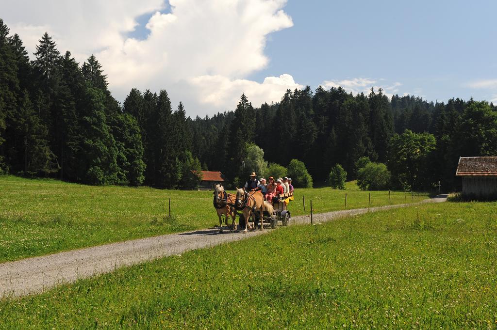 Hotel Bergblick Scheidegg Zewnętrze zdjęcie